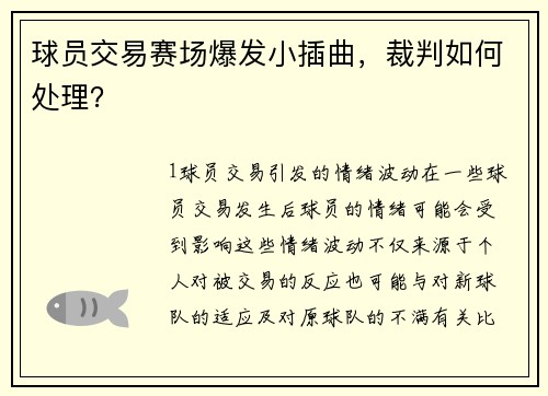球员交易赛场爆发小插曲，裁判如何处理？